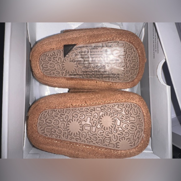 BABY TASMAN (Chestnut ) - Picture 4 of 5